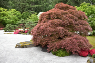 Filename=DSC_3567.JPG
Filesize=24262KiB
Dimensions=7360x4912
Date added=May 06, 2021 DSC_3567.JPG