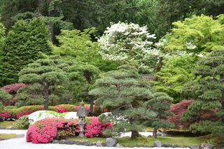 Filename=DSC_3570.JPG
Filesize=23727KiB
Dimensions=7360x4912
Date added=May 06, 2021 DSC_3570.JPG