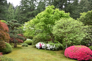 Filename=DSC_3572.JPG
Filesize=26349KiB
Dimensions=7360x4912
Date added=May 06, 2021 DSC_3572.JPG