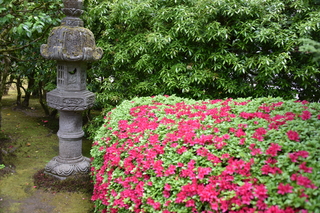 Filename=DSC_3576.JPG
Filesize=21706KiB
Dimensions=7360x4912
Date added=May 06, 2021 DSC_3576.JPG