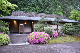 Filename=DSC_3579.JPG
Filesize=23925KiB
Dimensions=7360x4912
Date added=May 06, 2021 DSC_3579.JPG