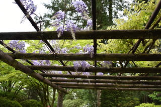 Filename=DSC_3584.JPG
Filesize=18298KiB
Dimensions=7360x4912
Date added=May 06, 2021 DSC_3584.JPG