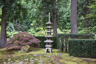 Filename=DSC_3586.JPG
Filesize=24085KiB
Dimensions=7360x4912
Date added=May 06, 2021 DSC_3586.JPG