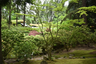 Filename=DSC_3590.JPG
Filesize=22949KiB
Dimensions=7360x4912
Date added=May 06, 2021 DSC_3590.JPG