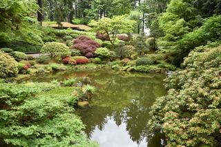 Filename=DSC_3591.JPG
Filesize=24787KiB
Dimensions=7360x4912
Date added=May 06, 2021 DSC_3591.JPG