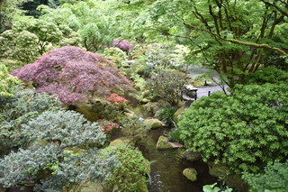 Filename=DSC_3592.JPG
Filesize=25935KiB
Dimensions=7360x4912
Date added=May 06, 2021 DSC_3592.JPG