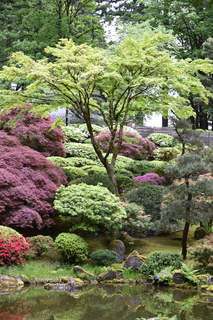 Filename=DSC_3596.JPG
Filesize=23699KiB
Dimensions=4912x7360
Date added=May 06, 2021 DSC_3596.JPG