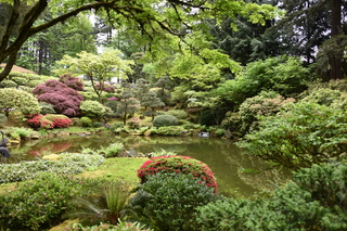 Filename=DSC_3597.JPG
Filesize=25035KiB
Dimensions=7360x4912
Date added=May 06, 2021 DSC_3597.JPG