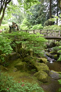 Filename=DSC_3598.JPG
Filesize=21068KiB
Dimensions=4912x7360
Date added=May 06, 2021 DSC_3598.JPG