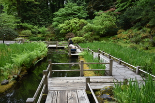 Filename=DSC_3607.JPG
Filesize=21117KiB
Dimensions=7360x4912
Date added=May 06, 2021 DSC_3607.JPG