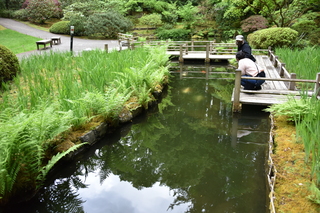 Filename=DSC_3609.JPG
Filesize=21031KiB
Dimensions=7360x4912
Date added=May 06, 2021 DSC_3609.JPG