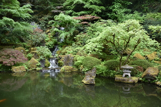 Filename=DSC_3616.JPG
Filesize=24159KiB
Dimensions=7360x4912
Date added=May 06, 2021 DSC_3616.JPG