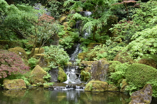 Filename=DSC_3617.JPG
Filesize=25664KiB
Dimensions=7360x4912
Date added=May 06, 2021 DSC_3617.JPG