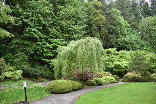 Filename=DSC_3619.JPG
Filesize=25496KiB
Dimensions=7360x4912
Date added=May 06, 2021 DSC_3619.JPG