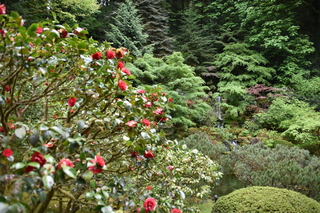 Filename=DSC_3624.JPG
Filesize=22235KiB
Dimensions=7360x4912
Date added=May 06, 2021 DSC_3624.JPG