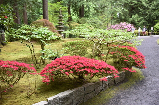 Filename=DSC_3627.JPG
Filesize=22671KiB
Dimensions=7360x4912
Date added=May 06, 2021 DSC_3627.JPG