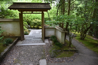 Filename=DSC_3630.JPG
Filesize=21734KiB
Dimensions=7360x4912
Date added=May 06, 2021 DSC_3630.JPG