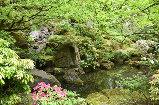 Filename=DSC_3635.JPG
Filesize=24075KiB
Dimensions=7360x4912
Date added=May 06, 2021 DSC_3635.JPG