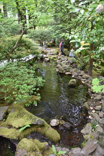 Filename=DSC_3644.JPG
Filesize=19079KiB
Dimensions=4912x7360
Date added=May 06, 2021 DSC_3644.JPG