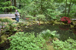 Filename=DSC_3645.JPG
Filesize=23669KiB
Dimensions=7360x4912
Date added=May 06, 2021 DSC_3645.JPG