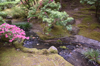 Filename=DSC_3647.JPG
Filesize=22574KiB
Dimensions=7360x4912
Date added=May 06, 2021 DSC_3647.JPG