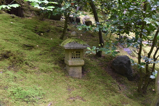 Filename=DSC_3649.JPG
Filesize=22122KiB
Dimensions=7360x4912
Date added=May 06, 2021 DSC_3649.JPG