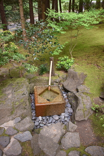 Filename=DSC_3651.JPG
Filesize=19914KiB
Dimensions=4912x7360
Date added=May 06, 2021 DSC_3651.JPG