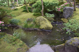 Filename=DSC_3657.JPG
Filesize=21128KiB
Dimensions=7360x4912
Date added=May 06, 2021 DSC_3657.JPG