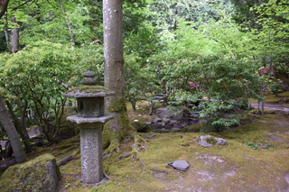 Filename=DSC_3659.JPG
Filesize=22882KiB
Dimensions=7360x4912
Date added=May 06, 2021 DSC_3659.JPG