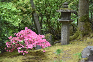 Filename=DSC_3668.JPG
Filesize=22024KiB
Dimensions=7360x4912
Date added=May 06, 2021 DSC_3668.JPG