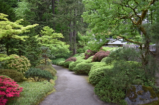 Filename=DSC_3672.JPG
Filesize=22401KiB
Dimensions=7360x4912
Date added=May 06, 2021 DSC_3672.JPG