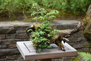 Filename=DSC_3679.JPG
Filesize=18582KiB
Dimensions=7360x4912
Date added=May 06, 2021 DSC_3679.JPG