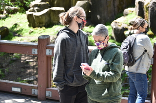 Filename=DSC_3692.JPG
Filesize=18188KiB
Dimensions=7360x4912
Date added=May 07, 2021 DSC_3692.JPG