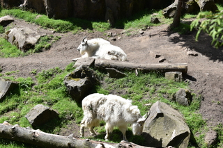 Filename=DSC_3703.JPG
Filesize=27344KiB
Dimensions=7360x4912
Date added=May 07, 2021 DSC_3703.JPG