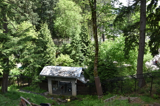 Filename=DSC_3711.JPG
Filesize=26654KiB
Dimensions=7360x4912
Date added=May 07, 2021 DSC_3711.JPG