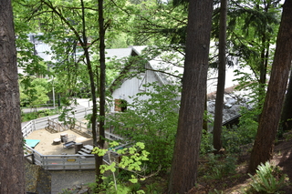 Filename=DSC_3712.JPG
Filesize=24488KiB
Dimensions=7360x4912
Date added=May 07, 2021 DSC_3712.JPG