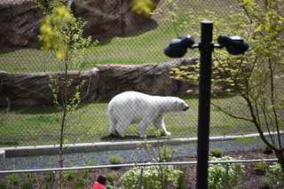 Filename=DSC_3713.JPG
Filesize=21593KiB
Dimensions=7360x4912
Date added=May 07, 2021 DSC_3713.JPG