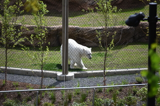 Filename=DSC_3716.JPG
Filesize=22875KiB
Dimensions=7360x4912
Date added=May 07, 2021 DSC_3716.JPG