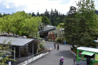 Filename=DSC_3719.JPG
Filesize=21703KiB
Dimensions=7360x4912
Date added=May 07, 2021 DSC_3719.JPG