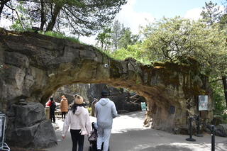 Filename=DSC_3720.JPG
Filesize=23419KiB
Dimensions=7360x4912
Date added=May 07, 2021 DSC_3720.JPG