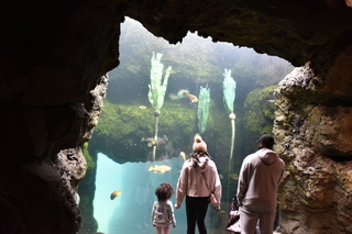 Filename=DSC_3752.JPG
Filesize=16411KiB
Dimensions=7360x4912
Date added=May 07, 2021 DSC_3752.JPG