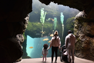 Filename=DSC_3753.JPG
Filesize=16067KiB
Dimensions=7360x4912
Date added=May 07, 2021 DSC_3753.JPG