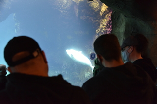 Filename=DSC_3756.JPG
Filesize=14959KiB
Dimensions=7360x4912
Date added=May 07, 2021 DSC_3756.JPG