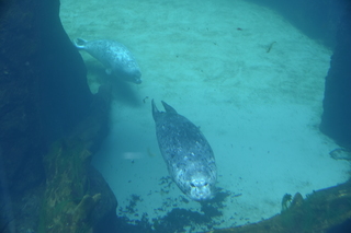 Filename=DSC_3765.JPG
Filesize=14917KiB
Dimensions=7360x4912
Date added=May 07, 2021 DSC_3765.JPG