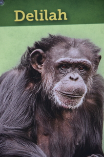 Filename=DSC_3770.JPG
Filesize=13865KiB
Dimensions=4912x7360
Date added=May 07, 2021 DSC_3770.JPG