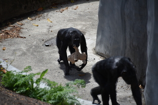 Filename=DSC_3783.JPG
Filesize=17694KiB
Dimensions=7360x4912
Date added=May 07, 2021 DSC_3783.JPG