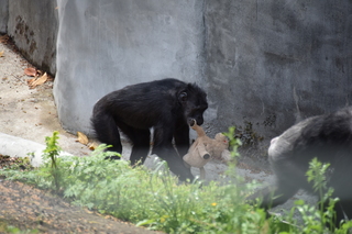 Filename=DSC_3786.JPG
Filesize=16718KiB
Dimensions=7360x4912
Date added=May 07, 2021 DSC_3786.JPG