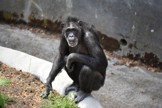 Filename=DSC_3788.JPG
Filesize=16707KiB
Dimensions=7360x4912
Date added=May 07, 2021 DSC_3788.JPG