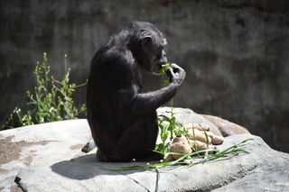 Filename=DSC_3791.JPG
Filesize=17044KiB
Dimensions=7360x4912
Date added=May 07, 2021 DSC_3791.JPG