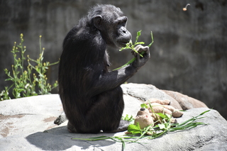 Filename=DSC_3800.JPG
Filesize=18003KiB
Dimensions=7360x4912
Date added=May 07, 2021 DSC_3800.JPG